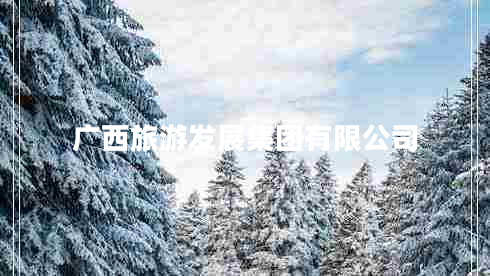 廣西旅游發(fā)展集團有限公司