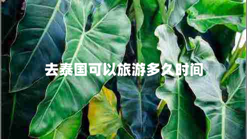 去泰國可以旅游多久時(shí)間