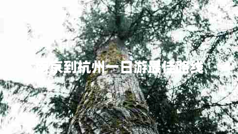 南京到杭州一日游最佳路線(xiàn)