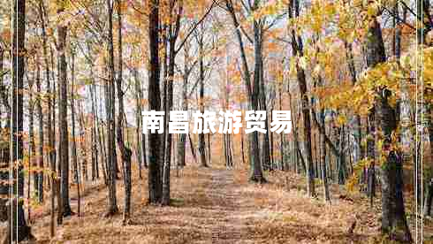 南昌旅游貿易