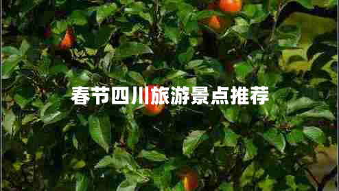 春節四川旅游景點(diǎn)推薦