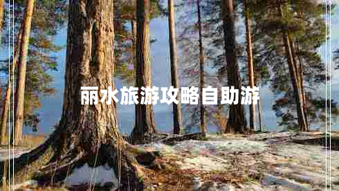 麗水旅游攻略自助游