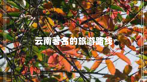 云南著(zhù)名的旅游路線(xiàn)
