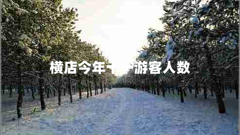 橫店今年十一游客人數