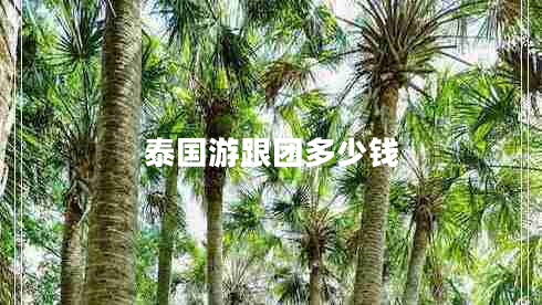 泰國游跟團多少錢(qián)