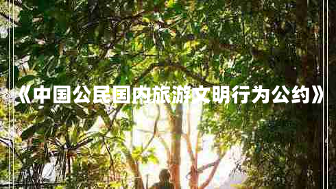 《中國公民國內旅游文明行為公約》