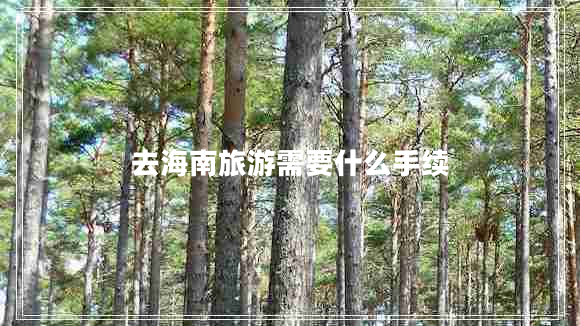 去海南旅游需要什么手續