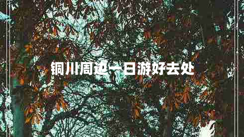 銅川周邊一日游好去處
