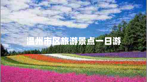 溫州市區旅游景點(diǎn)一日游