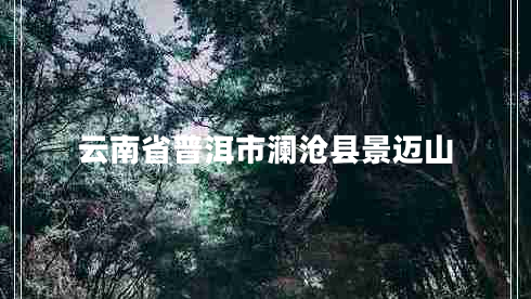 云南省普洱市瀾滄縣景邁山