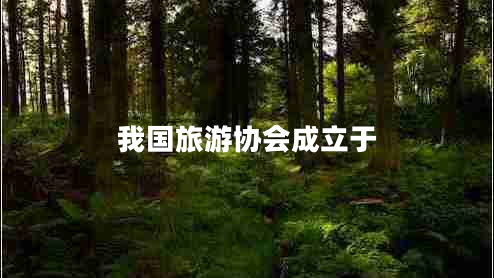 我國旅游協(xié)會(huì )成立于