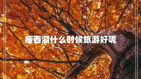 瘦西湖什么時候旅游好呢