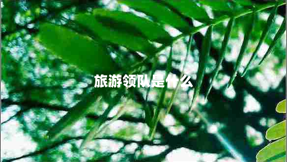 旅游領(lǐng)隊是什么
