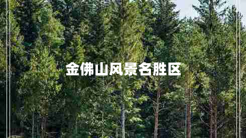 金佛山風(fēng)景名勝區