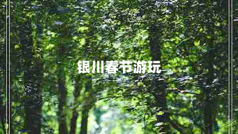 銀川春節游玩