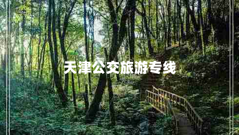 天津公交旅游專(zhuān)線(xiàn)