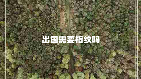 出國需要指紋嗎