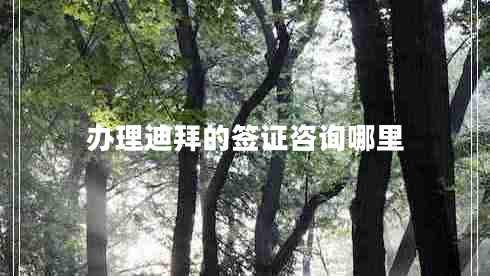 辦理迪拜的簽證咨詢(xún)哪里