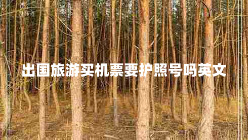 出國旅游買(mǎi)機票要護照號嗎英文