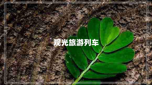 觀(guān)光旅游列車(chē)