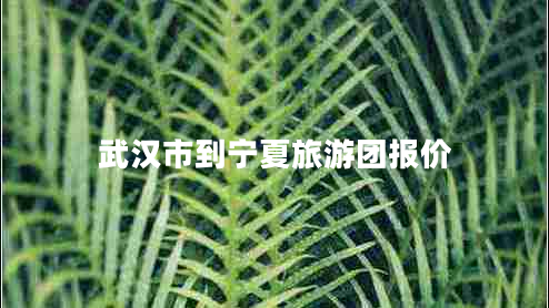 武漢市到寧夏旅游團報價(jià)