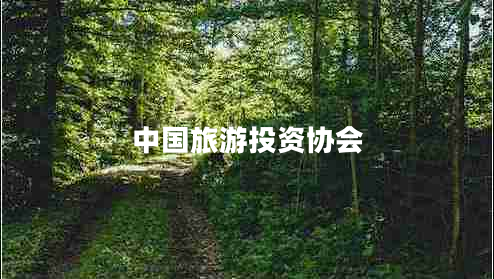 中國旅游投資協(xié)會(huì )