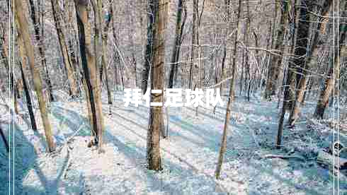 拜仁足球隊