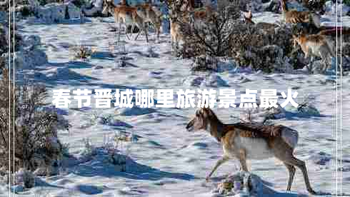 春節晉城哪里旅游景點(diǎn)最火