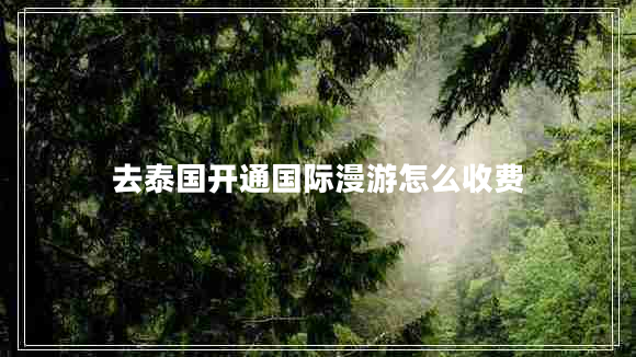 去泰國開(kāi)通國際漫游怎么收費