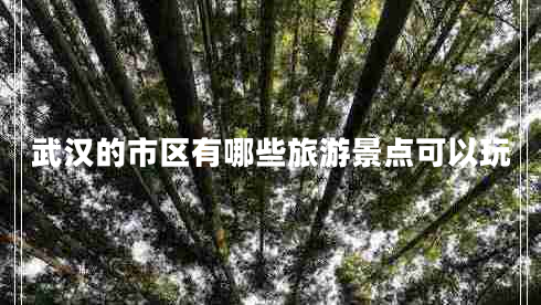 武漢的市區有哪些旅游景點(diǎn)可以玩