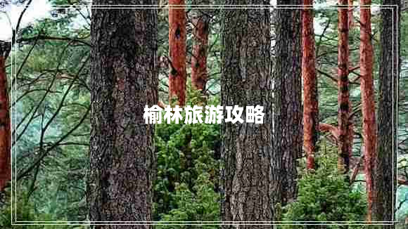 榆林旅游攻略