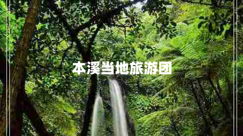 本溪當地旅游團