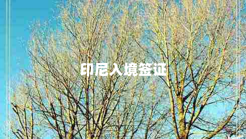 印尼入境簽證