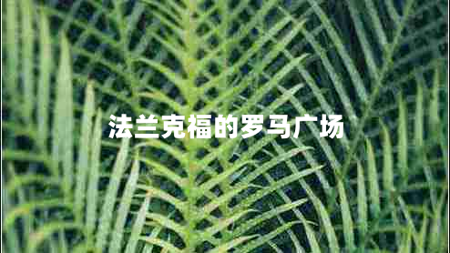 法蘭克福的羅馬廣場(chǎng)