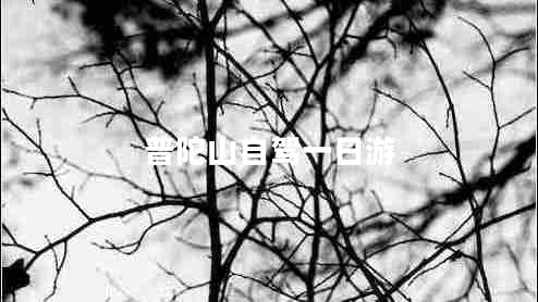 普陀山自駕一日游