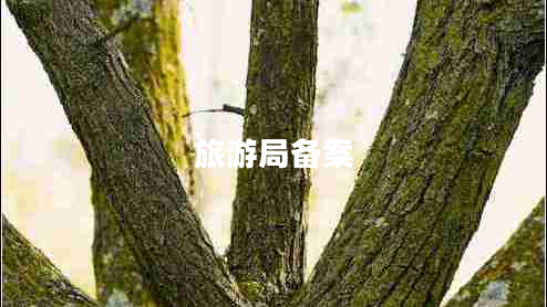 旅游局備案