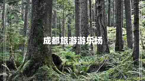 成都旅游游樂(lè )場(chǎng)