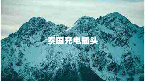 泰國充電插頭