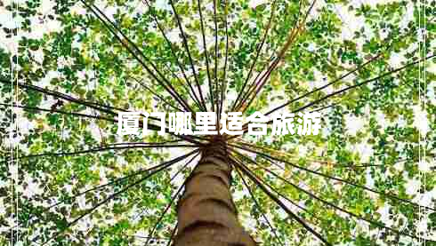 廈門(mén)哪里適合旅游