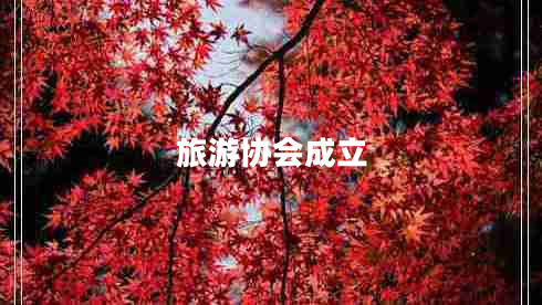 旅游協(xié)會(huì )成立