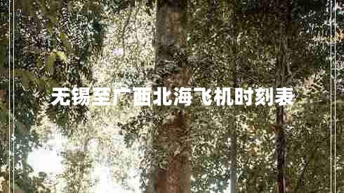 無(wú)錫至廣西北海飛機時(shí)刻表