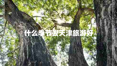 什么季節去天津旅游好