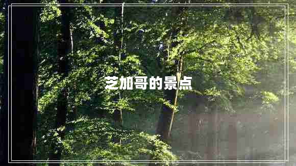 芝加哥的景點(diǎn)