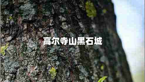 高爾寺山黑石城