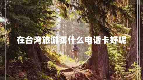在臺灣旅游買(mǎi)什么電話(huà)卡好呢