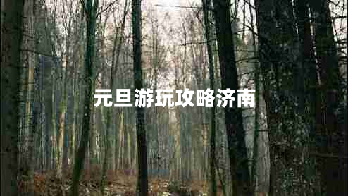 元旦游玩攻略濟南