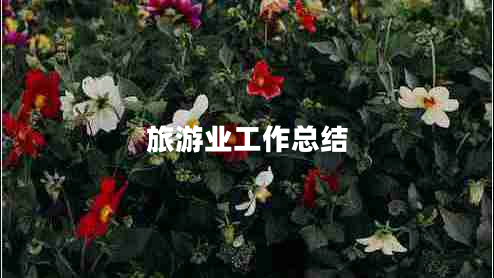 旅游業(yè)工作總結
