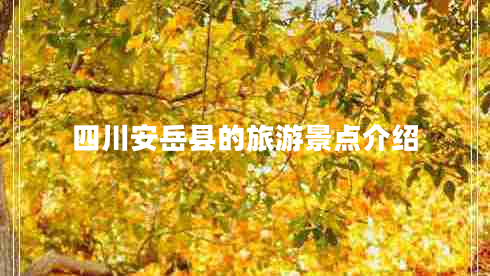 四川安岳縣的旅游景點(diǎn)介紹