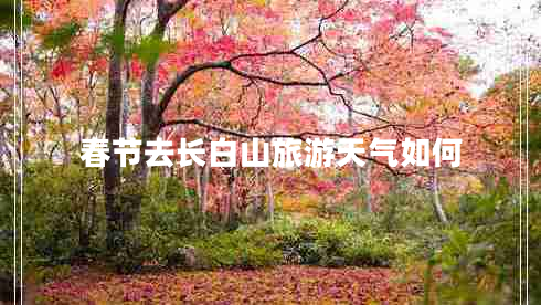 春節(jié)去長(zhǎng)白山旅游天氣如何