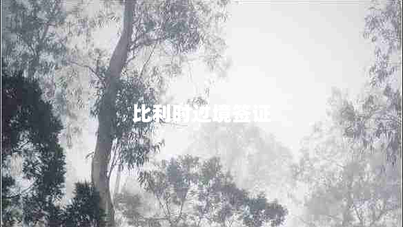 比利時(shí)過(guò)境簽證